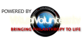 Virtual Volunteer Logo